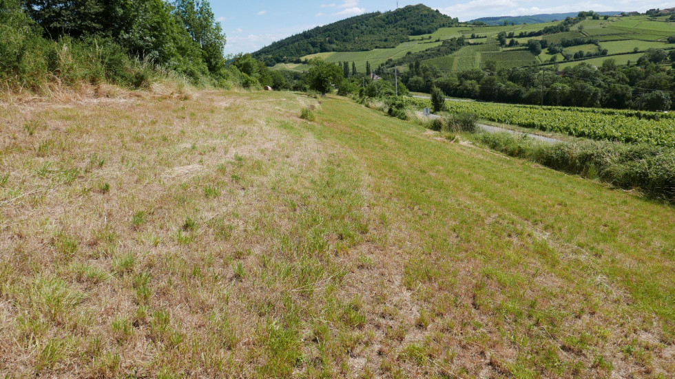 vente Terrain Berze La Ville - Photo 1