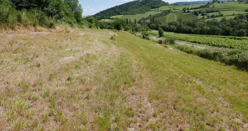 vente Terrain Berze La Ville