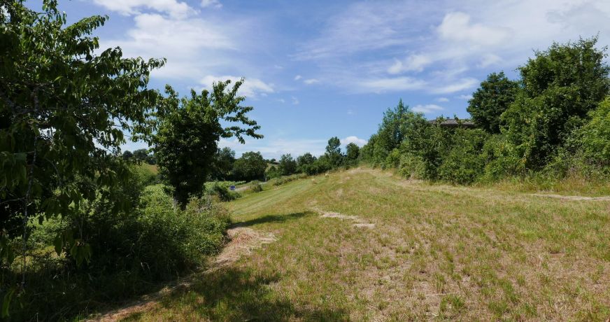 vente Terrain Berze La Ville