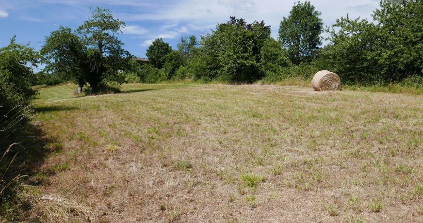 vente Terrain Berze La Ville