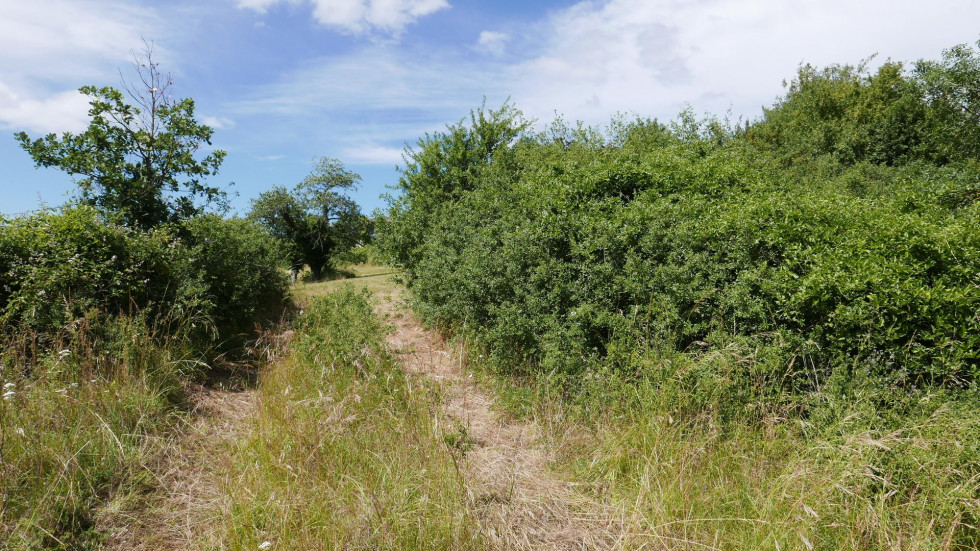 vente Terrain Berze La Ville - Photo 2