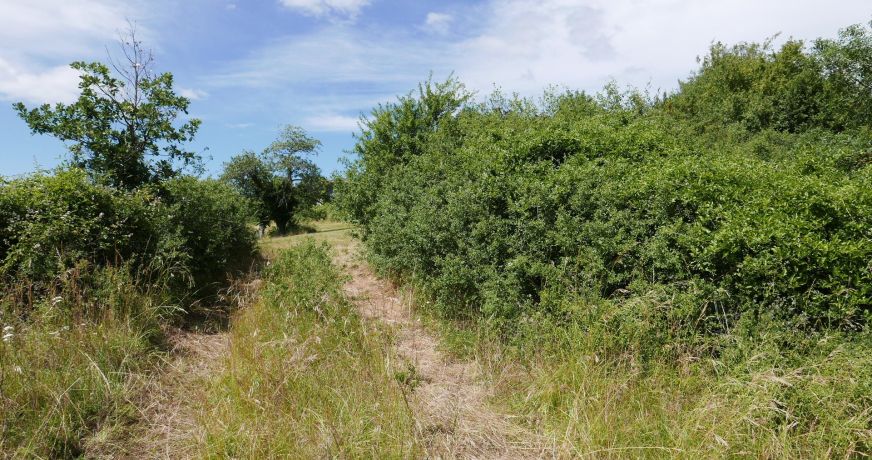 vente Terrain Berze La Ville