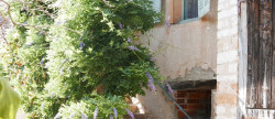 vente Maison Cormatin