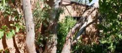 vente Maison Caluire Et Cuire