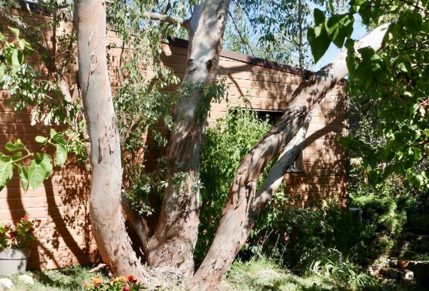 vente Maison Caluire Et Cuire - Photo 4