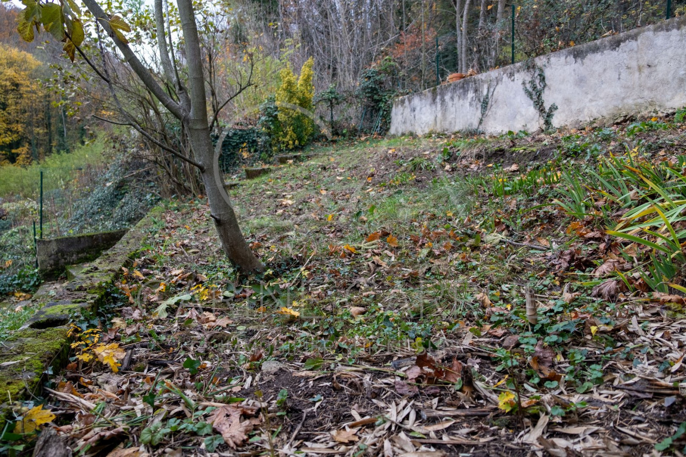 à vendre Appartement ancien Saint Didier Au Mont D'or - Photo 10