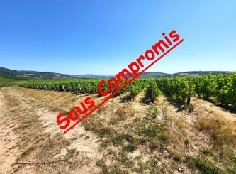 vente Terrain viticole Vauxrenard