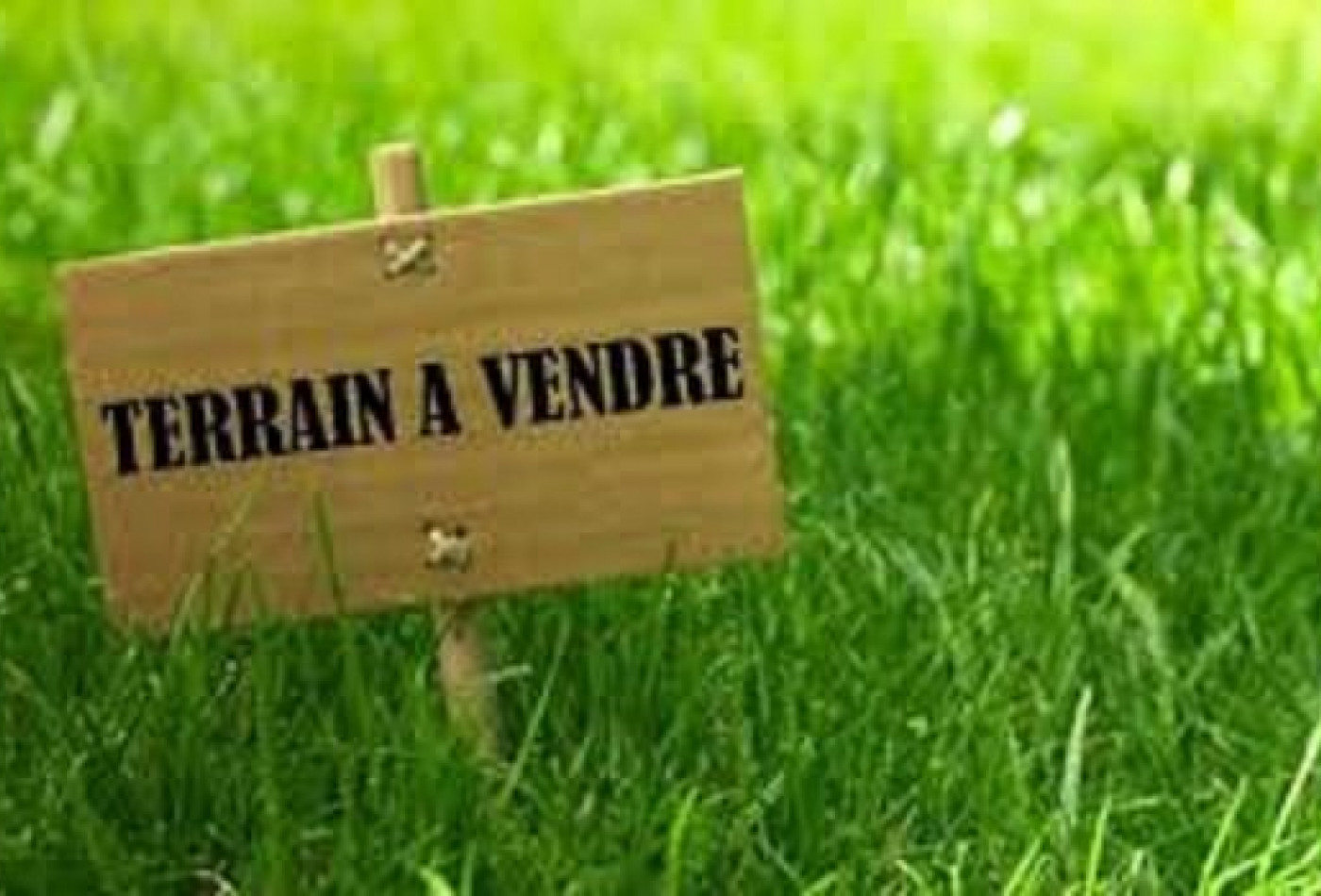 vente Terrain constructible La Batie Montgascon - Photo 2