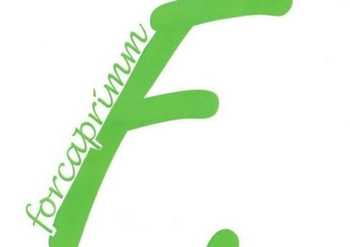 à vendre Restaurant Gaillard