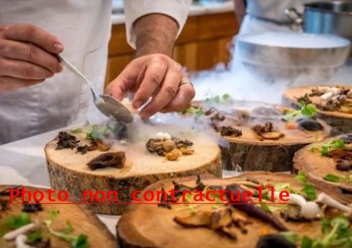 à vendre Restaurant Chambery