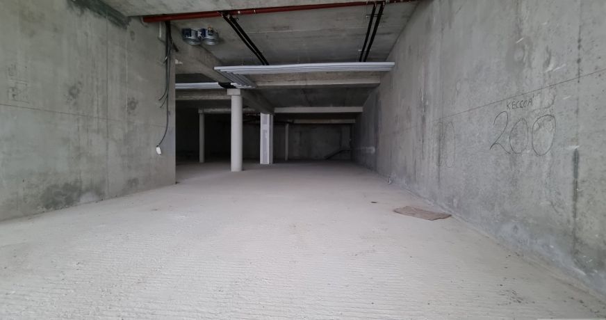 vente Local commercial Rumilly