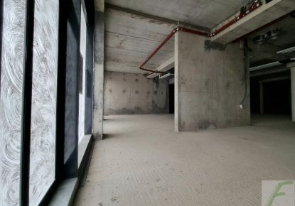 vente Local commercial Rumilly