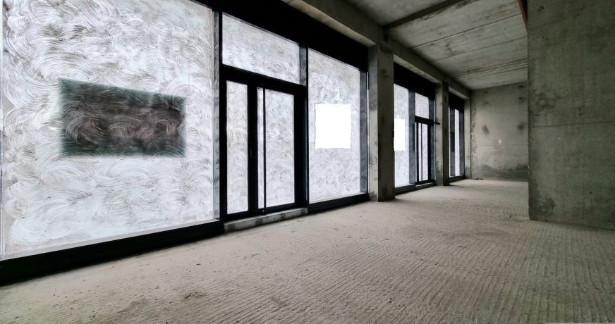 vente Local commercial Rumilly