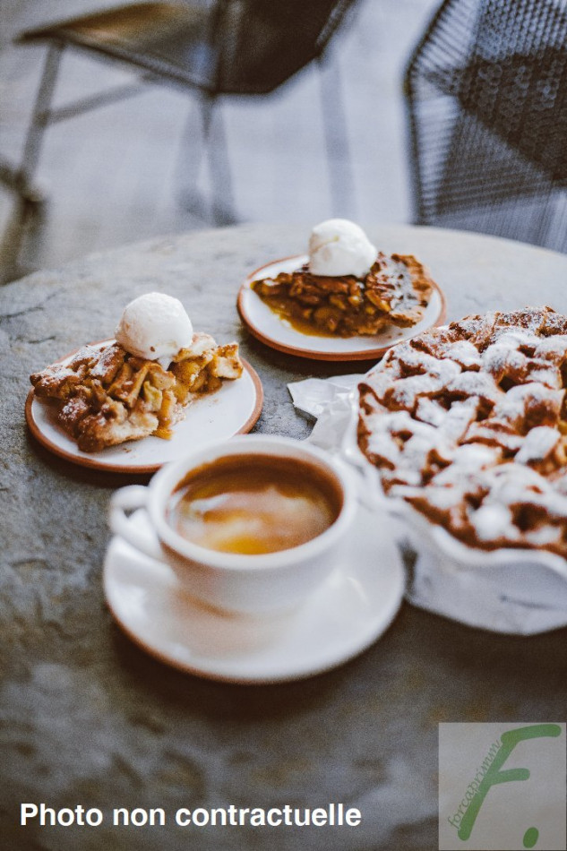 à vendre Restaurant Grenoble - Photo 1
