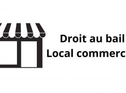 à vendre Grenoble