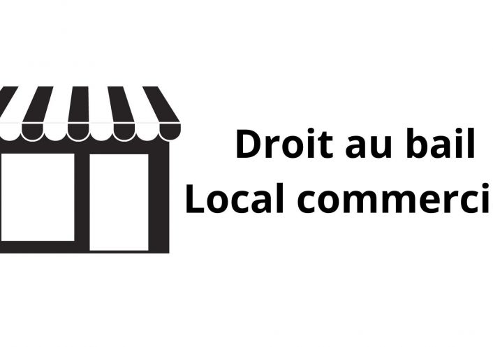 à vendre Local commercial Grenoble