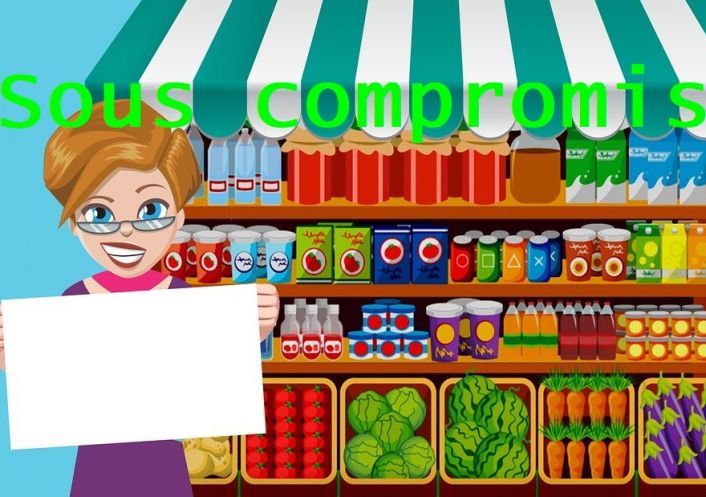 à vendre Alimentation Aix Les Bains