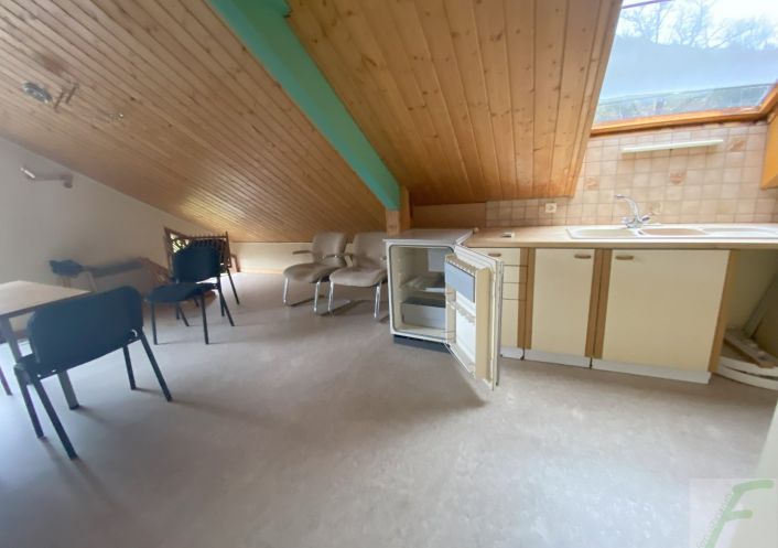 à vendre Locaux d'activité Le Chatelard