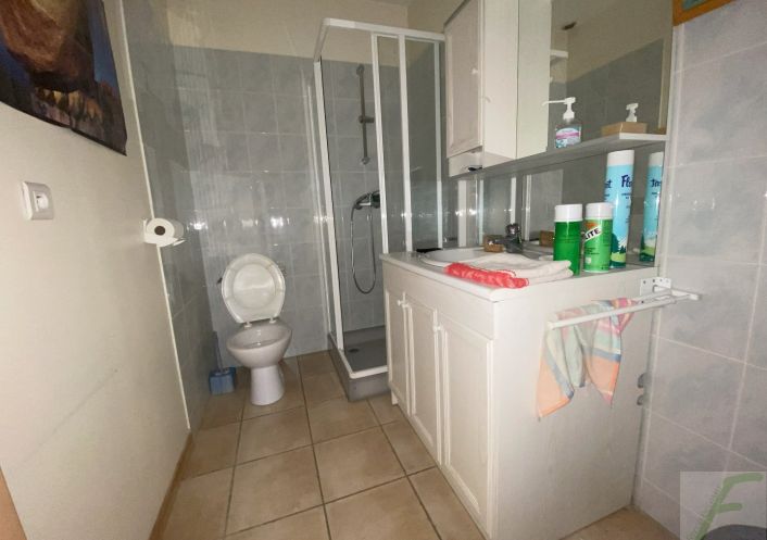 à vendre Locaux d'activité Le Chatelard