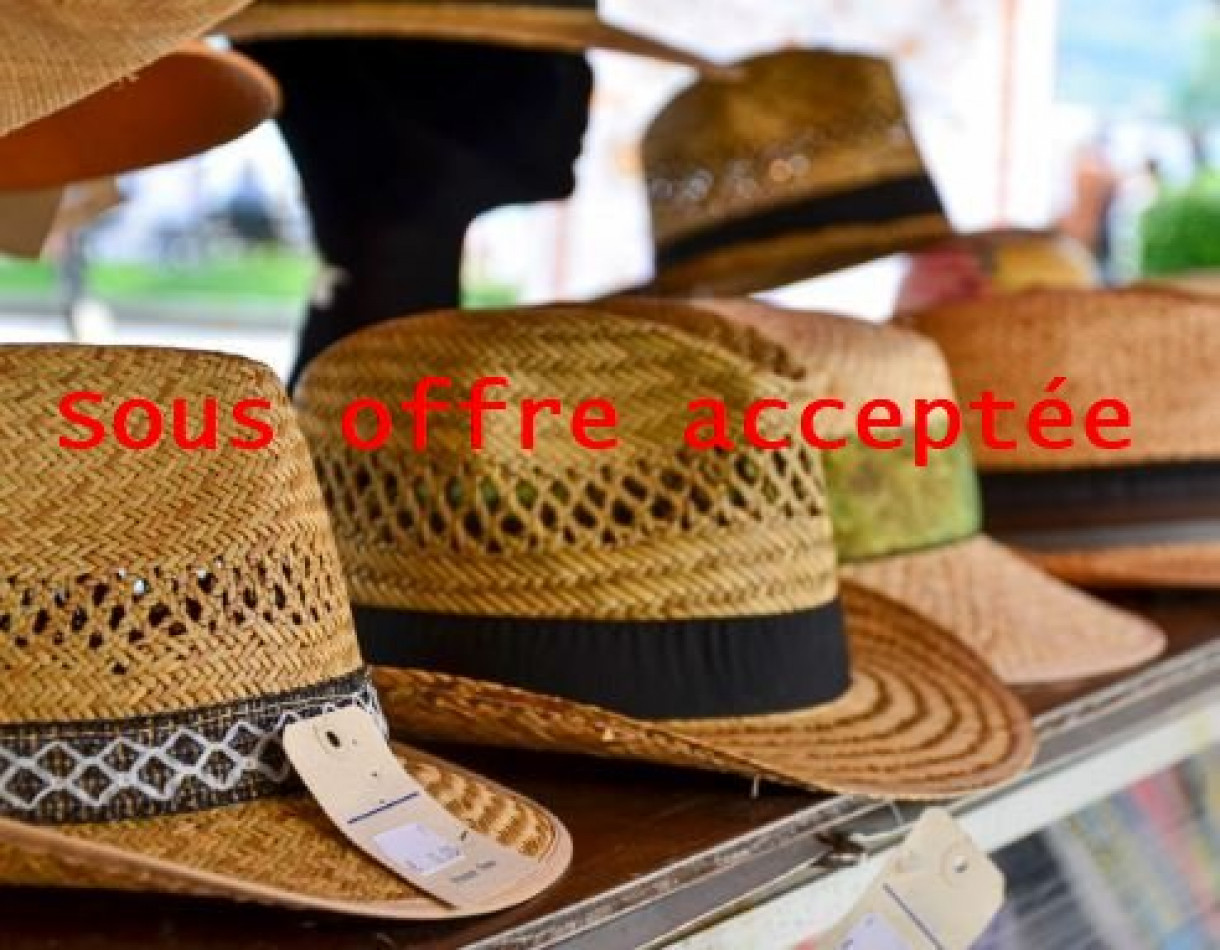 à vendre Local commercial Aix Les Bains - Photo 1