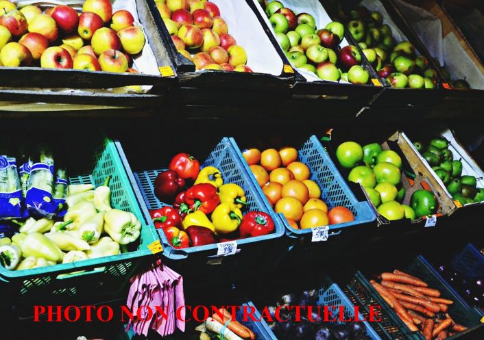 à vendre Local commercial Aix Les Bains