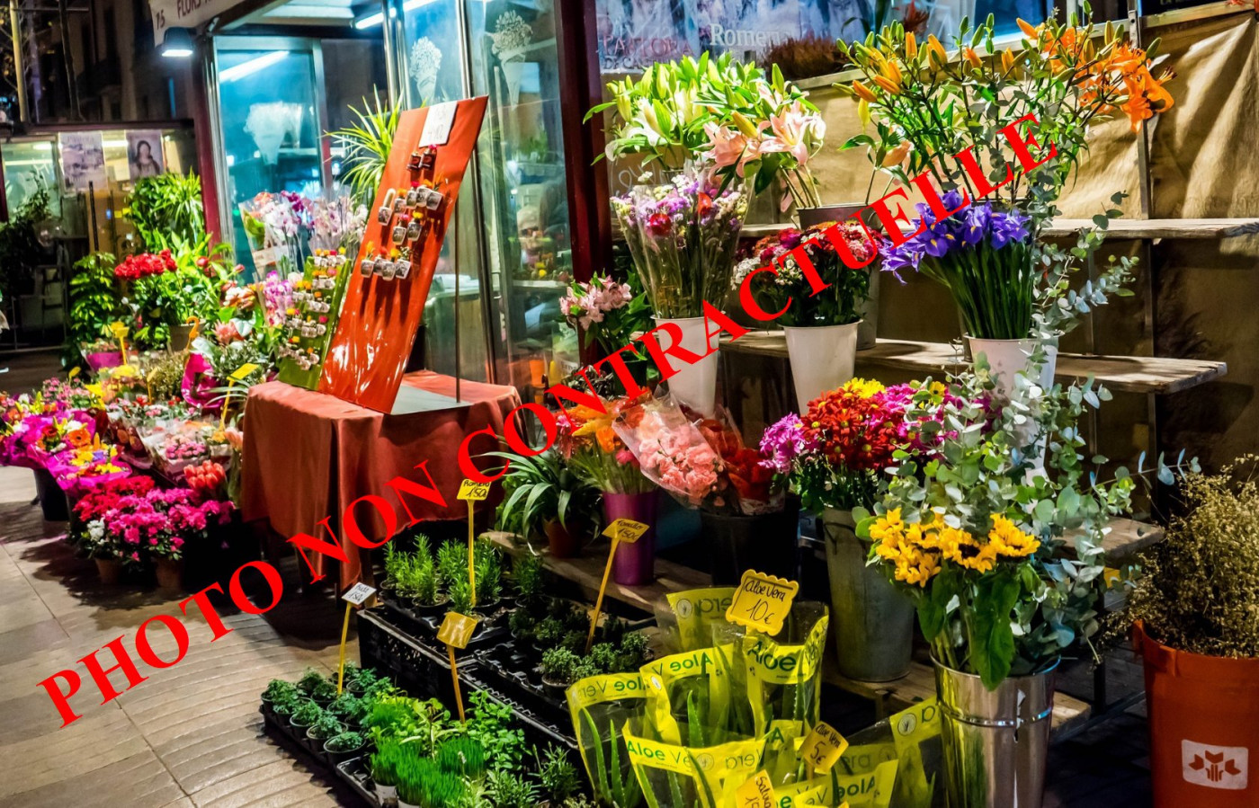 à vendre Local commercial Aix Les Bains - Photo 1