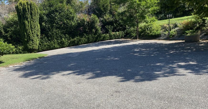 vente Restaurant Virignin