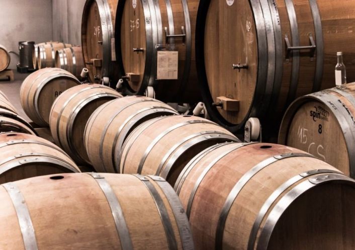 à vendre Cave à vin Chambery