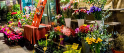 vente Local commercial Albertville