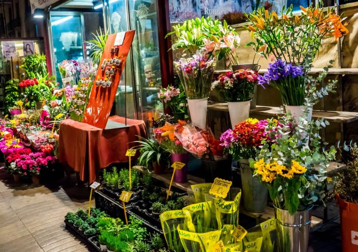 à vendre Local commercial Albertville