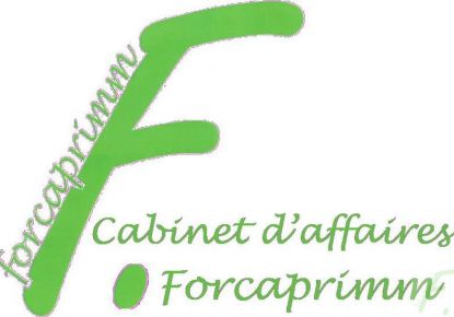 vente Locaux d'activité Voiron