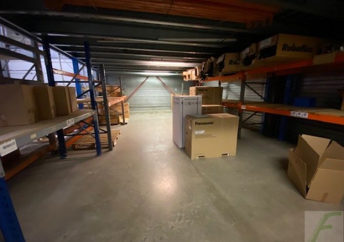 à louer Locaux d'activité Alby Sur Cheran