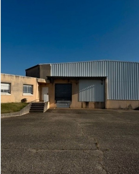 location Local industriel Sonnay - Photo 3