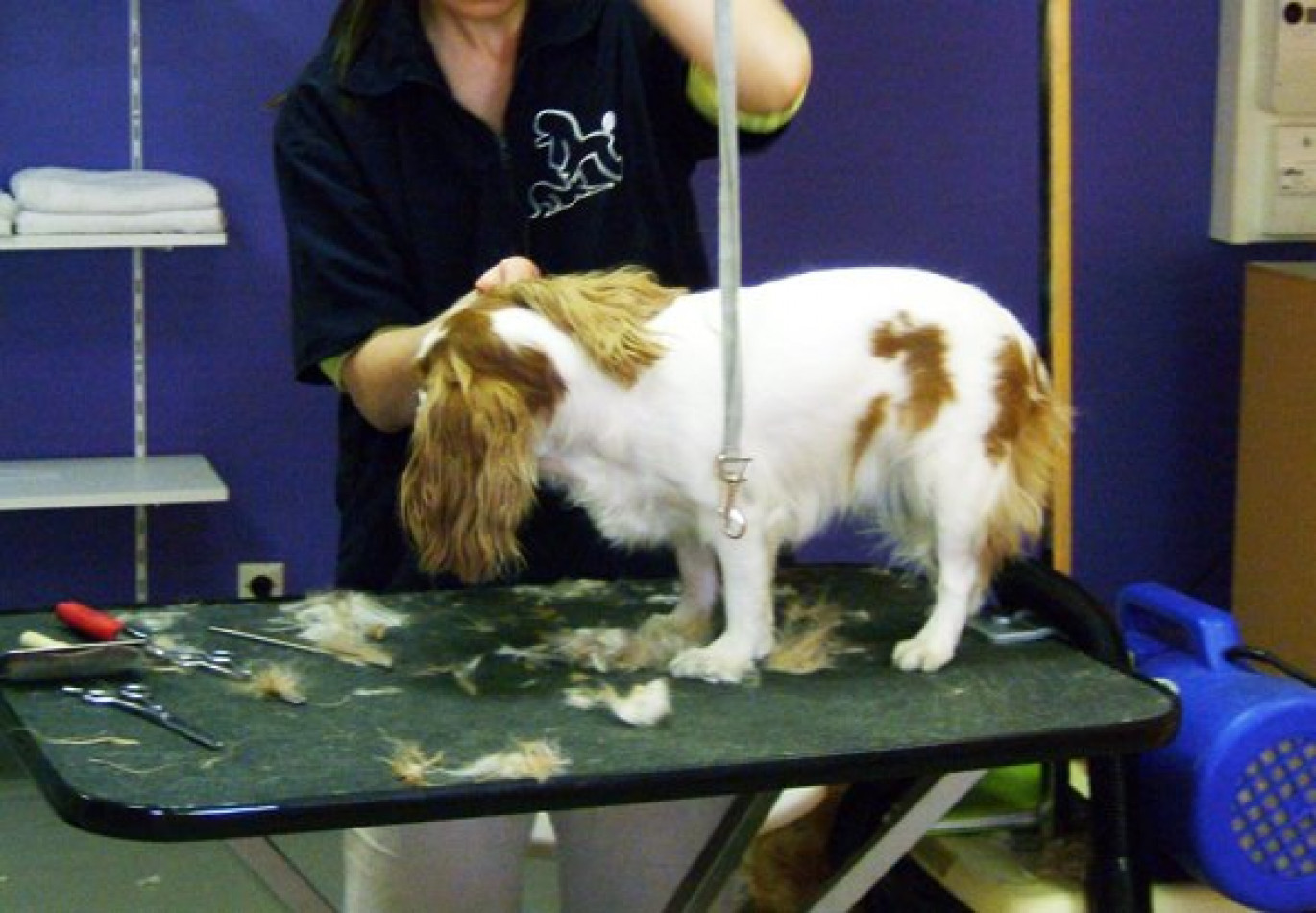 à vendre Local commercial Aix Les Bains - Photo 3