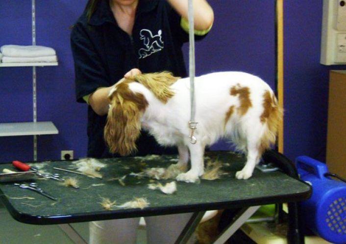 à vendre Local commercial Aix Les Bains