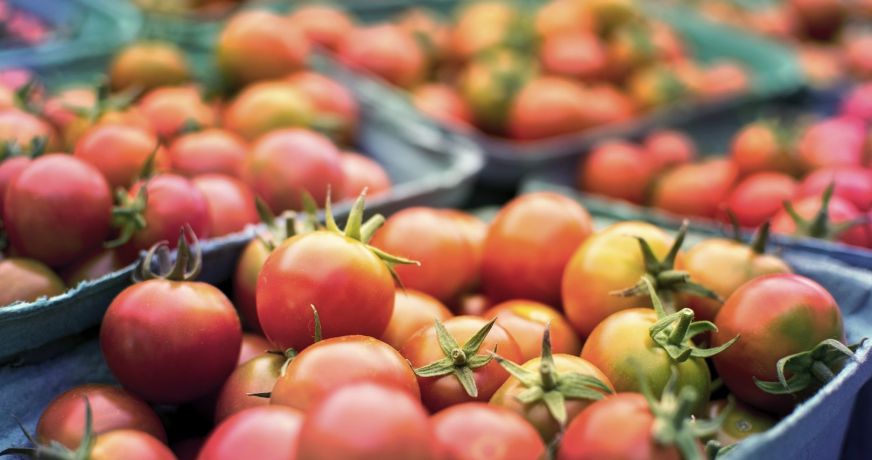 location Local commercial Aix Les Bains