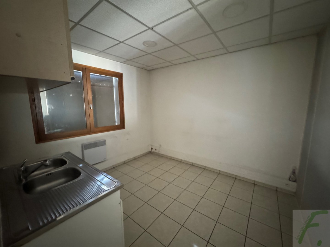 à louer Locaux d'activité Viviers Du Lac - Photo 8