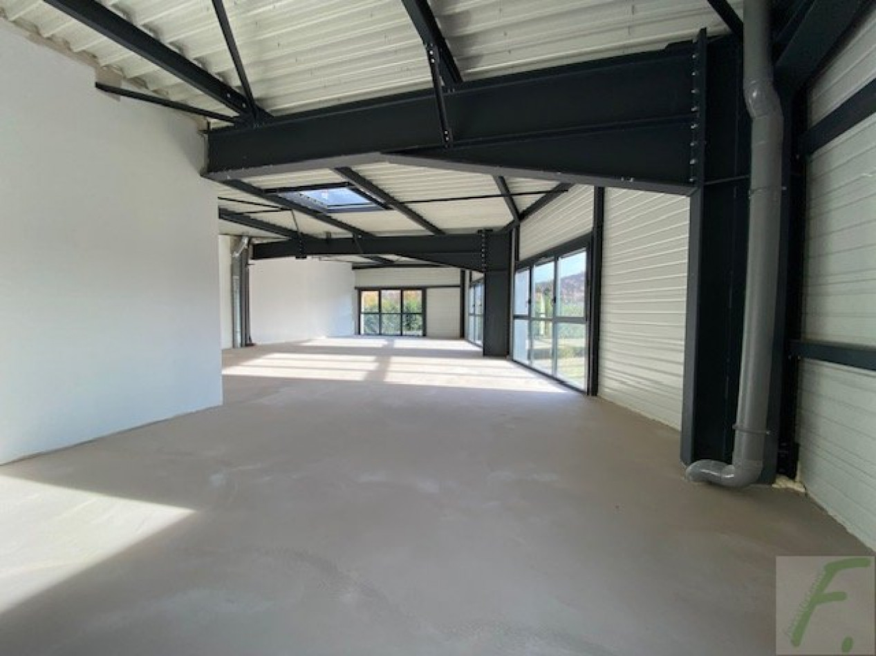 à vendre Locaux d'activité Sillingy - Photo 1
