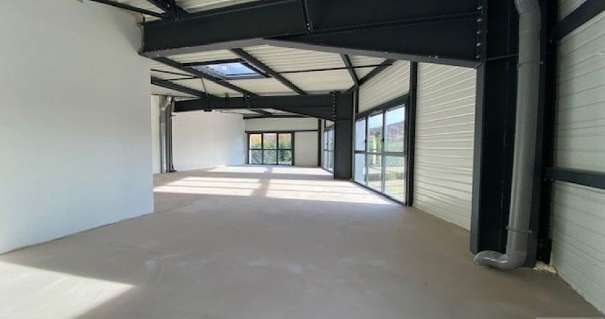 vente Locaux d'activité Sillingy