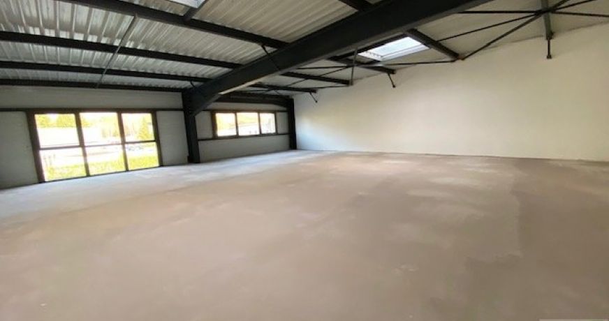 vente Locaux d'activité Sillingy