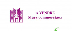 vente Local commercial La Motte Servolex