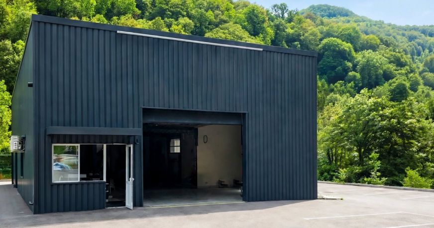 vente Locaux d'activité Lancey