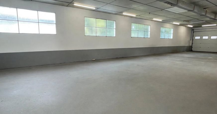 vente Locaux d'activité Lancey