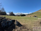à vendre Terrain constructible Albiez Montrond