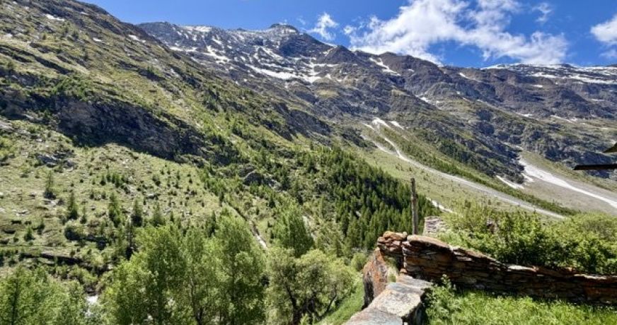 vente Maison en pierre Bessans