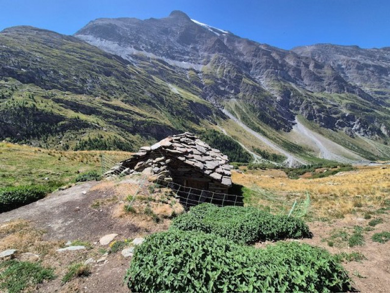 vente Maison en pierre Bessans - Photo 2