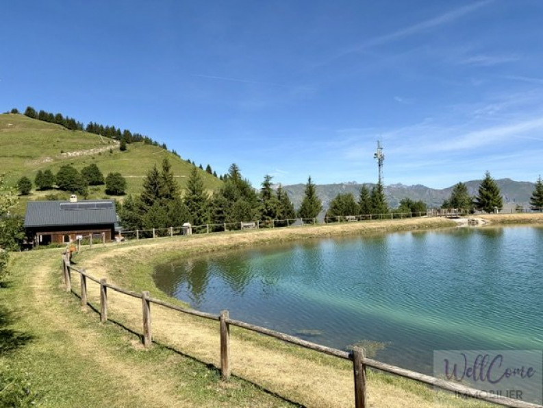 vente Chalet Albiez Montrond - Photo 1