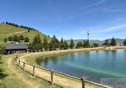 vente Chalet Albiez Montrond