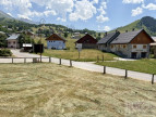vente Ensemble immobilier Albiez Montrond