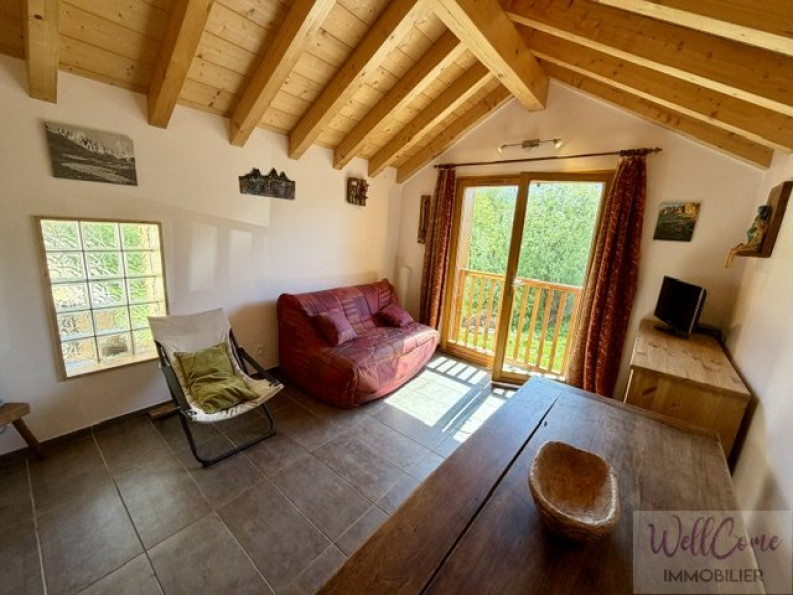 vente Maison mitoyenne Saint Sorlin D'arves - Photo 6